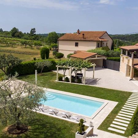 Villa Viscum In Central Istria For 8 Persons With Large Garden - Pet Friendly Pazin Eksteriør bilde
