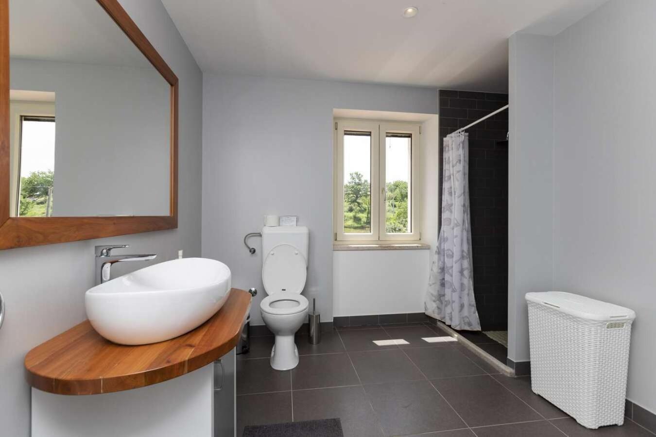 Villa Viscum In Central Istria For 8 Persons With Large Garden - Pet Friendly Pazin Eksteriør bilde